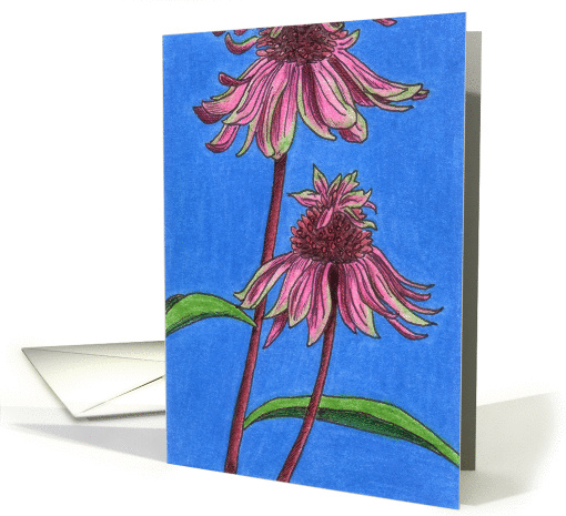 Double Decker Coneflowers (With Green) card (83340)