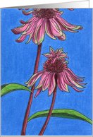 Double Decker Coneflowers (With Green) card