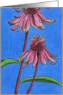 Double Decker Coneflowers (With Green) card