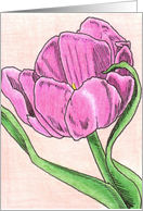 Dutch Tulip 1 card