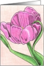 Dutch Tulip 1 card