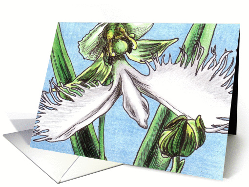Egret Flower card (83438)