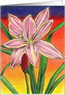 Fairy Lily card