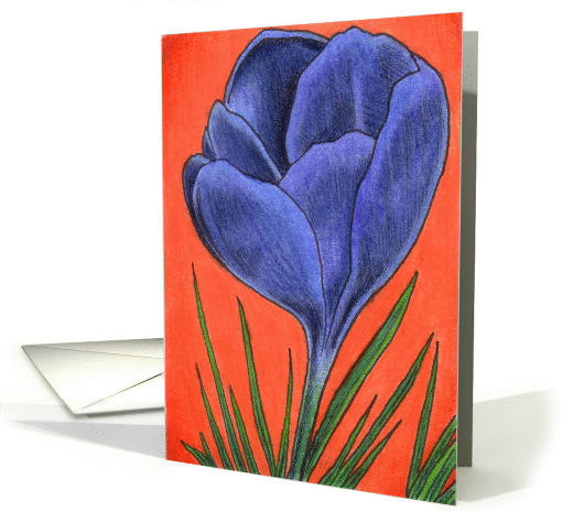 Giant Crocus card (83446)