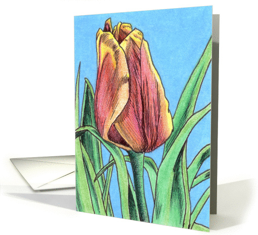 Indian Summer Tulip card (83456)
