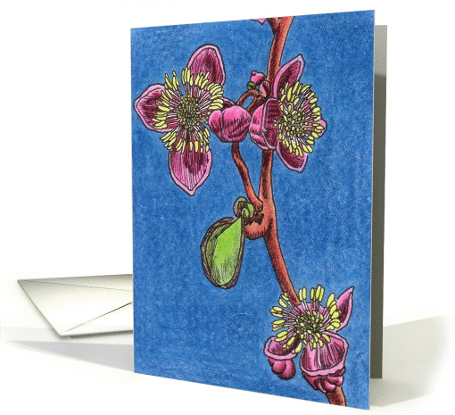 Meadow Rue card (83690)