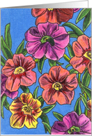 MiniFamous Calibrachoa card