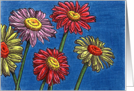 Painted Daisies card