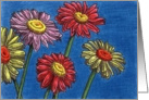 Painted Daisies card