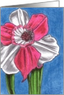 Pink and White Daffodil card