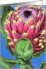 Protea card