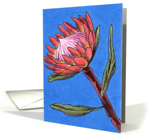 Protea 2 card (83718)