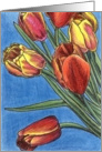 Rainbow Tulips 1 card