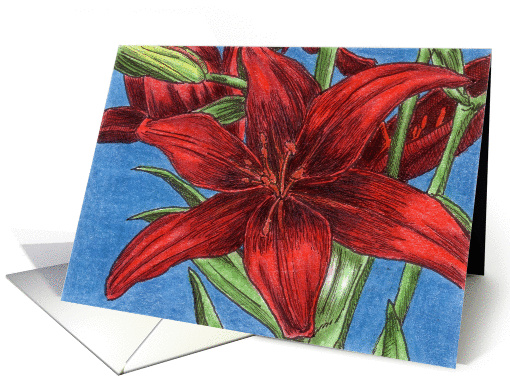 Red Tango Lily card (83730)