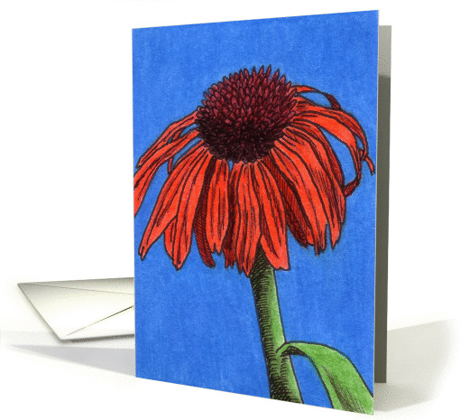 Summer Coneflowers Series (2) card (83926)