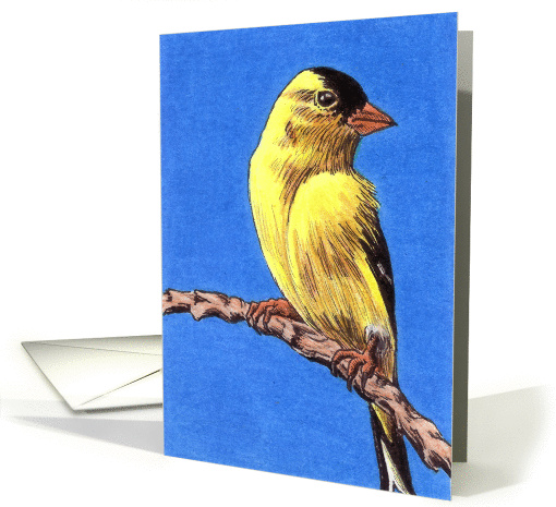 American Goldfinch card (83968)