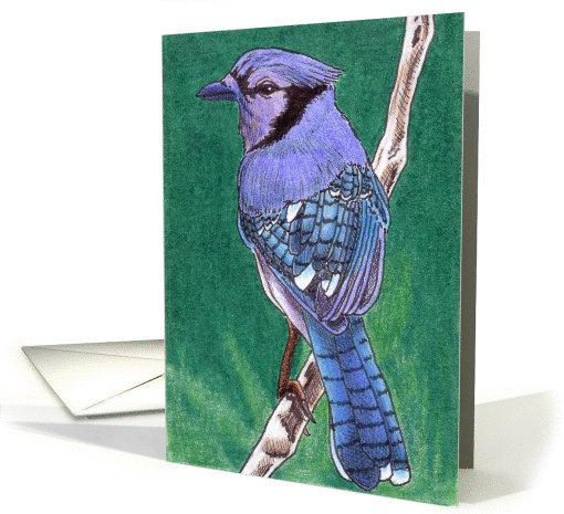 Blue Jay card (86914)