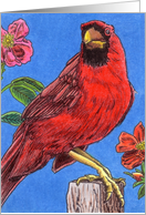 Cardinal with Alba Roses card