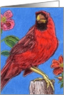 Cardinal with Alba Roses card