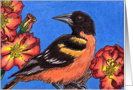 Northern Oriole with Roses card