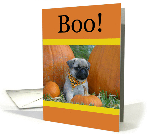 Halloween Pug Puppy Boo! card (82350)