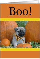 Halloween Pug Puppy Boo! card