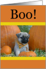 Halloween Pug Puppy Boo! card
