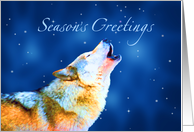 Howling Wolf Seasons...