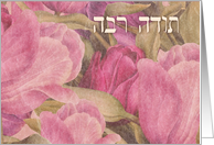 Thank You in Hebrew ...