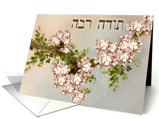 Thank You in Hebrew ~Todah Rabah ~ Fruit Tree Blossoms card (769907)