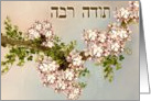 Thank You in Hebrew ~Todah Rabah ~ Fruit Tree Blossoms card