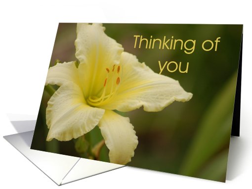 Thinking of You card (333507)