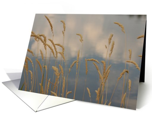 Reflections card (336955)