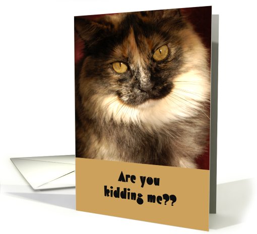 Are You Kidding Me? card (340456)