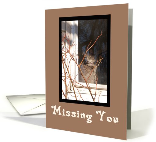 Lonely Cat Missing You card (367549)
