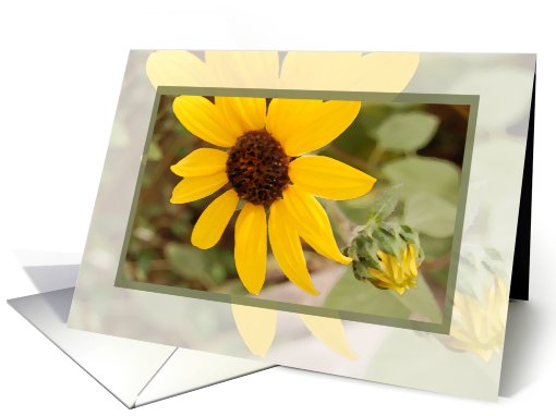 Painted Flower card (375574)
