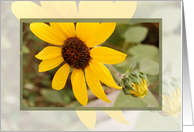 Painted Flower card