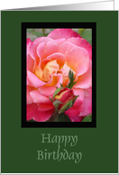 Rose Birthday card