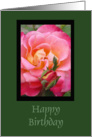 Rose Birthday card