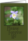 Please Forgive Me card