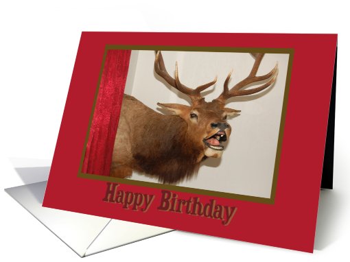 Animal Head Mount Birthday card (383294)