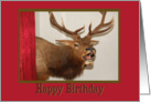 Animal Head Mount Birthday card