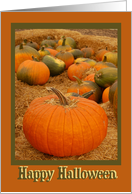 Halloween Pumpkin Patch card
