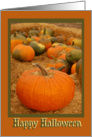 Halloween Pumpkin Patch card