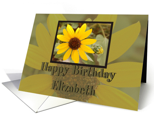 Happy Birthday Elizabeth card (385978)