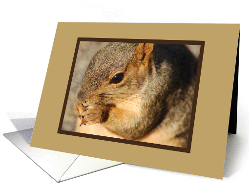 Squirrel card (386506)