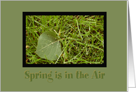 Spring is in the Air card