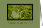 Spring is in the Air card