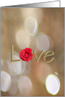 Love Rose card