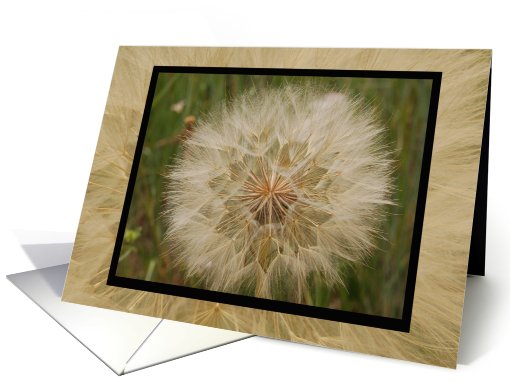 Art in Weeds card (453902)